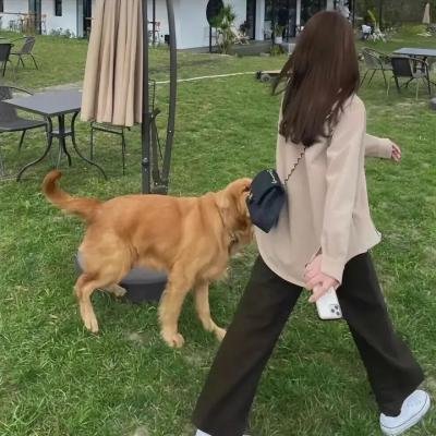 黑仔刑警